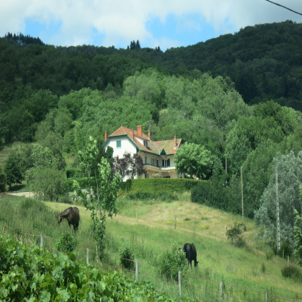 Offres de vente Propriete Beaujeu 69430