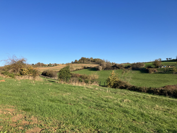 Offres de vente Terrain Lozanne 69380