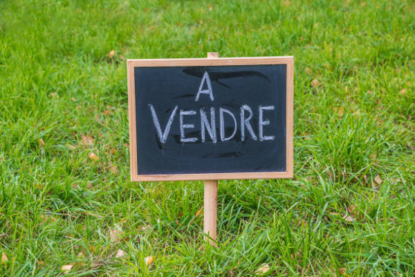 Offres de vente Terrain Sainte-Consorce 69280